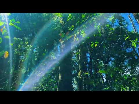 La Unión Zacapa🥰