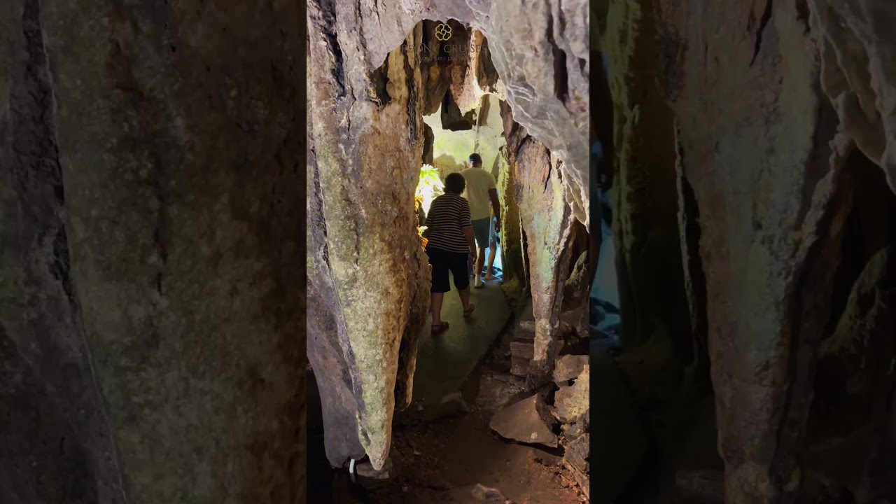 YouTube Short thumbnail