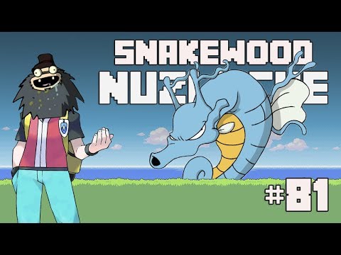 Pokemon Nuzlocke: Snakewood - Part 81: The Return