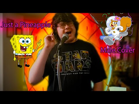 Just A Pineapple -  (Boi What Cover) *NOT AI*