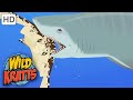 Wild Kratts |Incredibly STRONG Sea Turtle | Animals