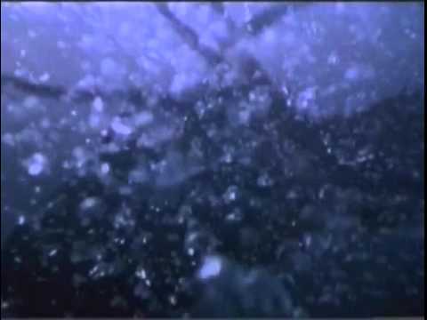 Octopus (2000) Trailer