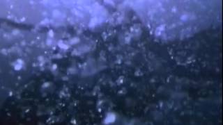 Octopus (2000) Trailer