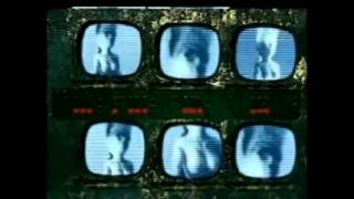 El carnal de las estrellas Molotov