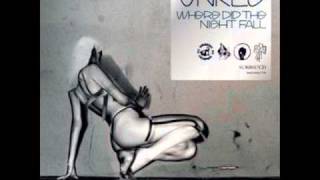 UNKLE - On A Wire (feat. ELLE J) 06 (full cd Where Did The Night Fall)
