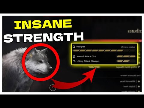 How to level up Torgal in Final Fantasy 16