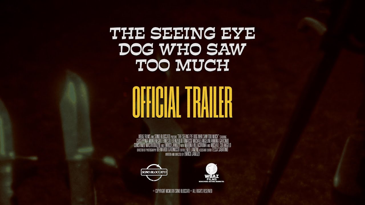 Miniature de la vidéo THE SEEING EYE DOG WHO SAW TOO MUCH (OFFICIAL TRAILER) du film The Seeing Eye Dog Who Saw Too Much