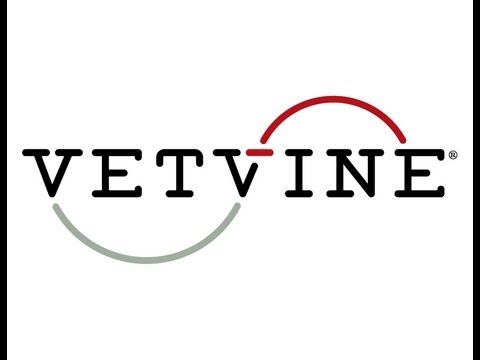 Primary Hypoadrenocorticism in Companion Animals