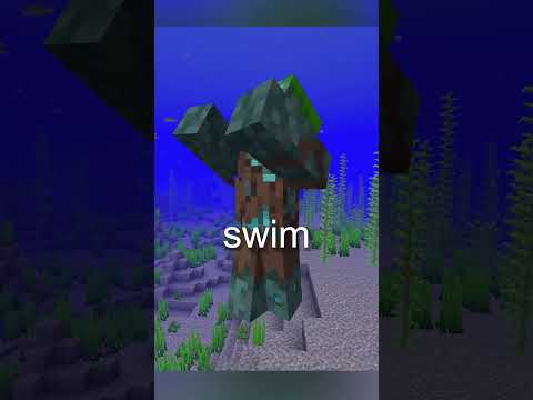 What Is The Conduit In Minecraft?