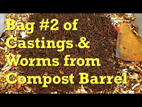 Move out worms & harvest castings from bag #2 - vermicompost