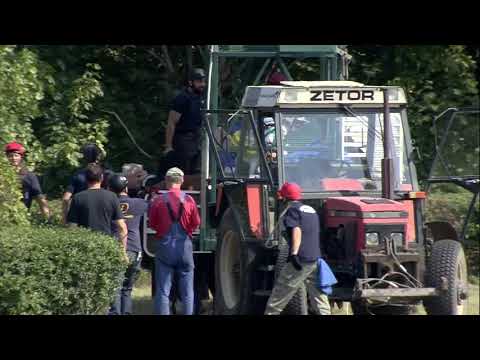 Galopprennbahn Dresden - 25.08.2019 - Rennen 2