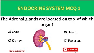 Endocrine System Quiz: Test Your Knowledge!