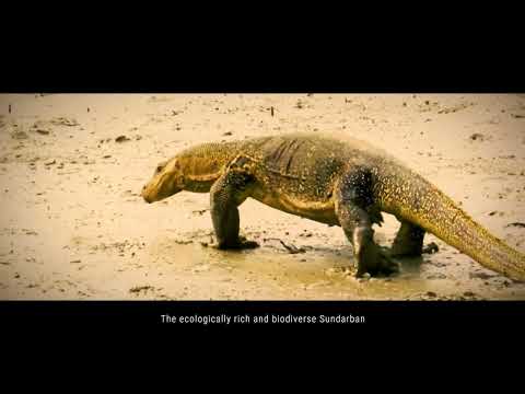 Sustainable Aquaculture in Mangrove Ecosystems (SAIME)