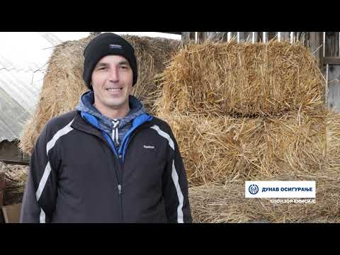 Naša priča ep. 390 16.02.2023. Nemanja Dobrić, Brđani, govedarstvo, ovčarstvo, simentalac, sjenička