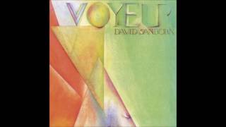 David Sanborn - It's You