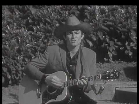 Crispian St. Peters -  Almost Persuaded