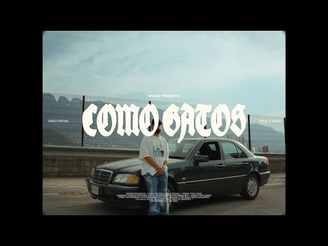 Dardd - Como Gatos (Prod. V.Rod)