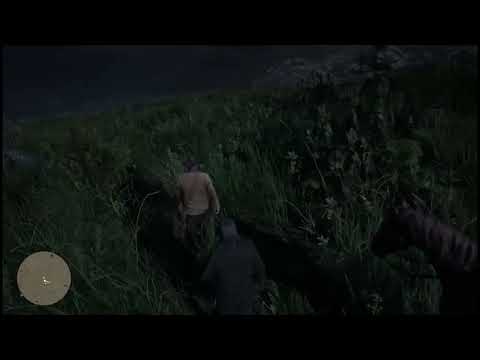 Red Dead Redemption 2 - Helping Indians