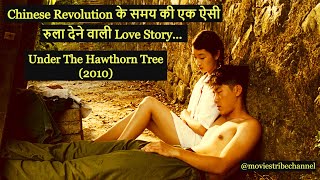 Under The Hawthorn Tree (2010) Movie Explain In Hindi/Urdu | A Love Story From Those Times | हिन्दी