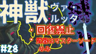 【マスターモード全クリ目指すゼル伝BotW】#28　神獣ヴァ･ルッタを回復禁止、武器はマスターソードだけの縛りプレイで攻略!