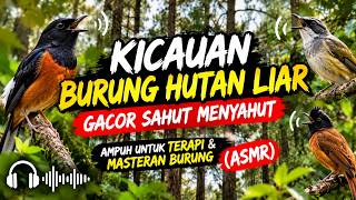 Download lagu Kicauan Burung Hutan Liar Gacor Sahut Menyahut | Ampuh untuk Terapi & Masteran Burung (ASMR) mp3