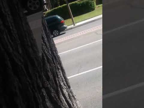 attacked hours later he attacked my sister.  police refuse to even takea report