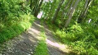 5 days and counting by spitalfield