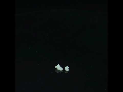 YouTube 썸네일