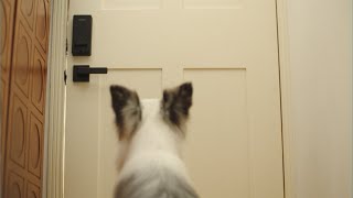 Philips 4000 Series Touchscreen Smart Deadbolt Matte Black