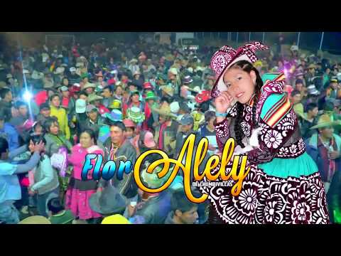 Flor de Alely  -  Cervecita  | Oh Chumbivilcas