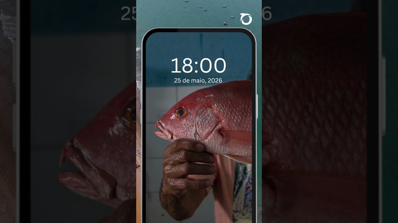 ⚠️ O pargo foi reclassificado como “Em Perigo” na nova lista de espécies ameaçadas de extinção.