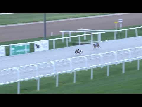 2018.06.29. - Agár futam