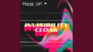 Invisibility Cloak Music Video