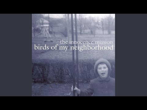 I Havent Seen This Day Before - The Innocence Mission