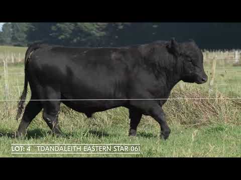 Lot 4 DANDALEITH EASTERN STAR 061