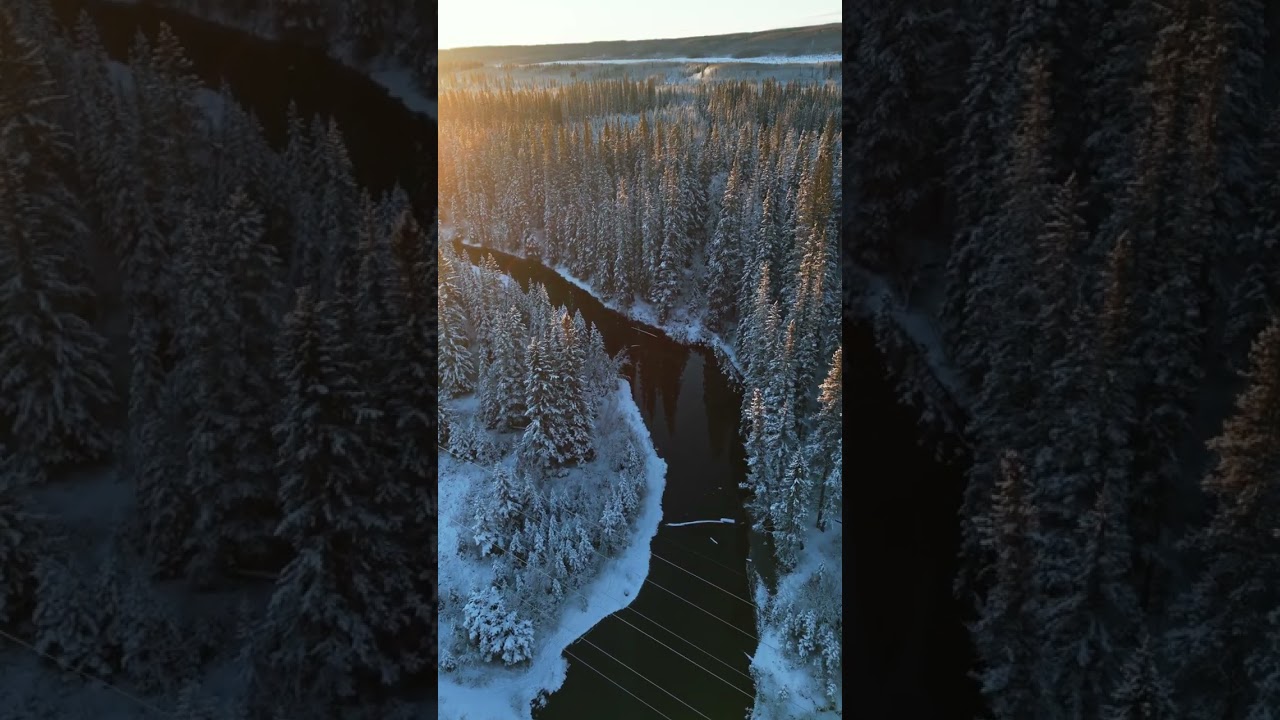 Discovery Ridge Pathway Discovery Ridge Calgary - Nature's Luxury Community | Expert Realtor