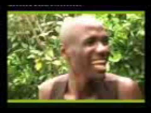 Old version of Nkotonko