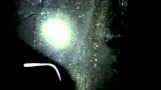 REAL ORBS AND EVPS AT HAUNTED CEMETERY