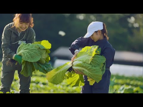 明治大学 農学部｜10学部10色のコンセプトムービー#06