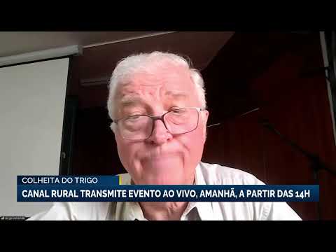 ‘Nós chegaremos a autossuficiência do trigo’, diz chefe da Embrapa