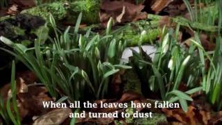 Severance by Dead Can Dance with Lyrics