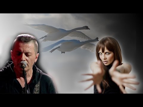 Маша Макарова и Вадим Самойлов  - Расскажите, птицы (Birds, tell me)