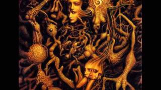 LITTLE VELVETEEN KNIGHT