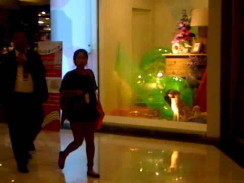 [Fancam] 120524 Masita Date With Kyuhyun Kyu At CenChaeng