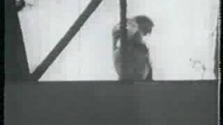 Nirvana-Sappywithlyrics