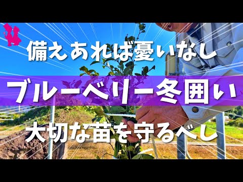園芸 果物を守る