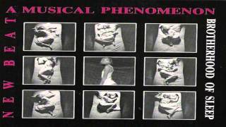 Brotherhood Of Sleep   New Beat, A Musical Phenomenon Razormaid Remix