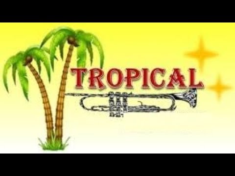 La Elegida (Cafe La Humedad) by bebe guerra