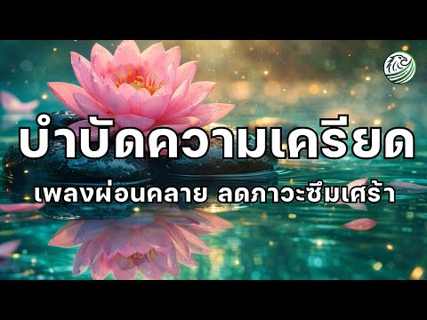 ดนตรีบำบัดความเครียด ลดซึมเศร้า ช่วยให้ความรู้สึกเบาขึ้นและอารมณ์ดีขึ้น ดนตรีผ่อนคลาย เพลงผ่อนคลาย