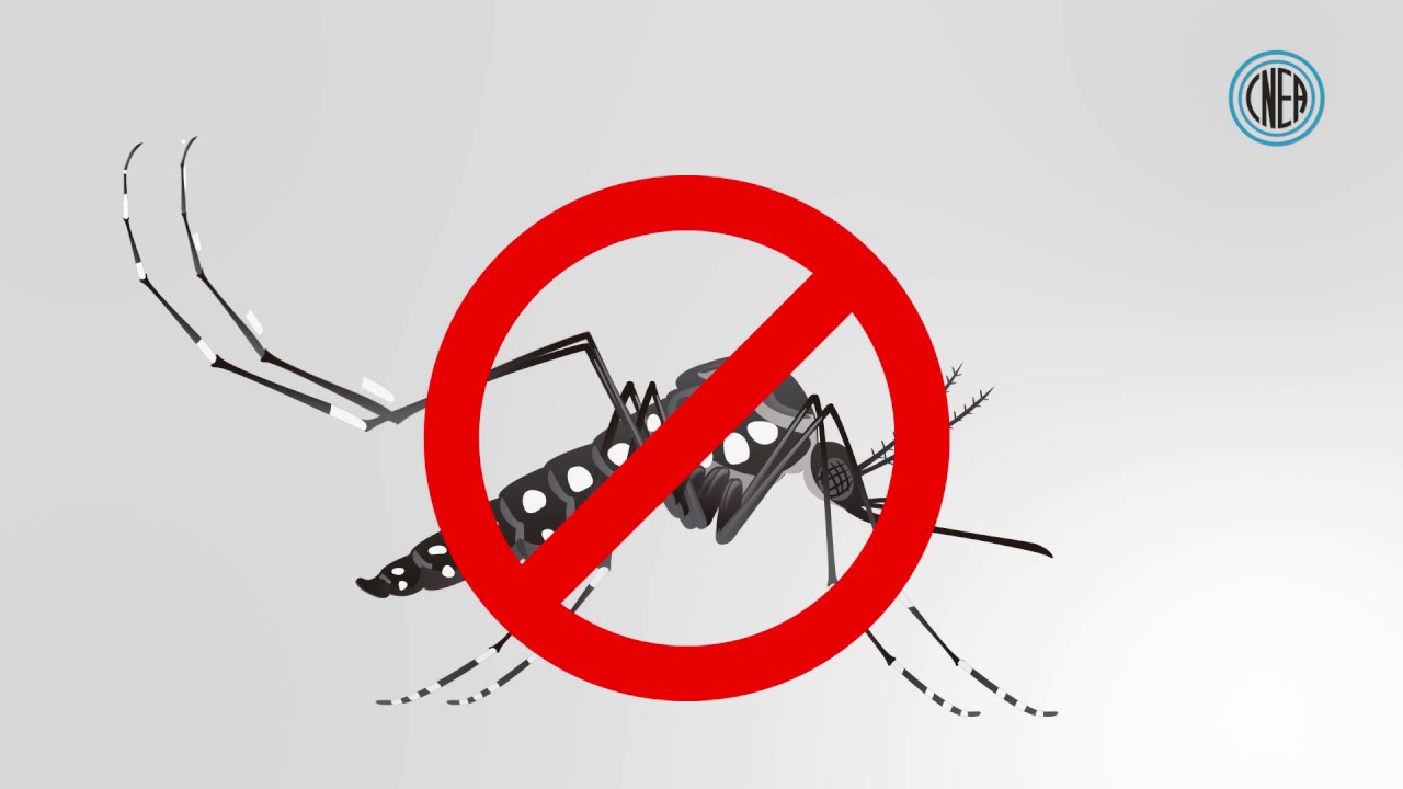 youtube video id=bXFBPfCiYJU